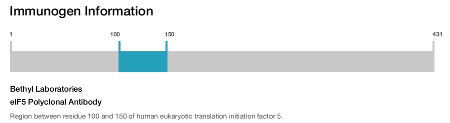 eIF5 Polyclonal Antibody