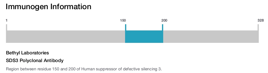 SDS3 Polyclonal Antibody