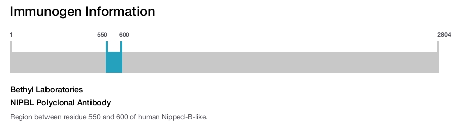 NIPBL Polyclonal Antibody