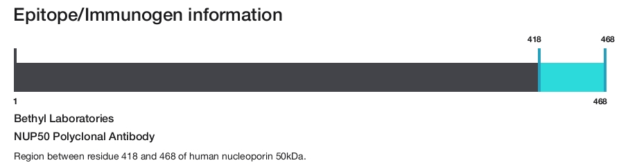 NUP50 Polyclonal Antibody