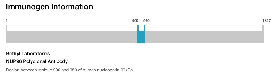 NUP96 Polyclonal Antibody