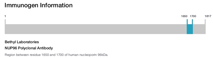 NUP96 Polyclonal Antibody