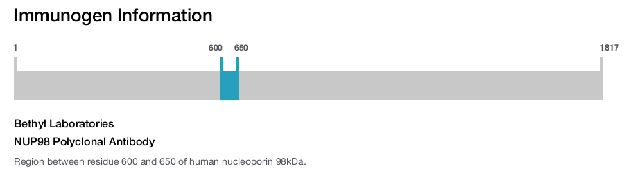 NUP98 Polyclonal Antibody