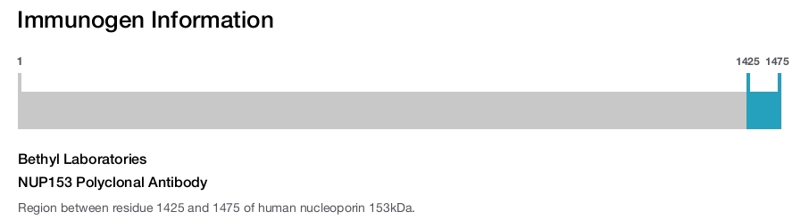 NUP153 Polyclonal Antibody