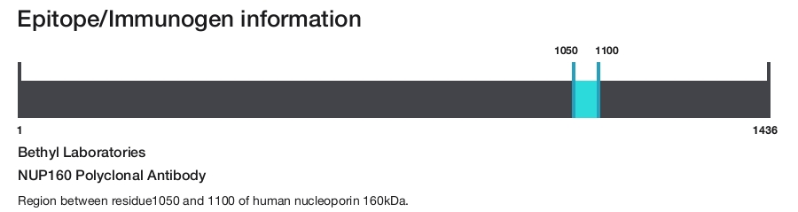 NUP160 Polyclonal Antibody