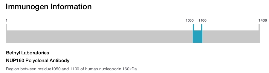 NUP160 Polyclonal Antibody