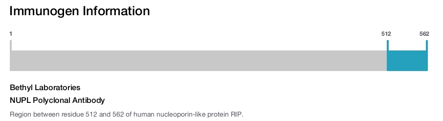 NUPL Polyclonal Antibody