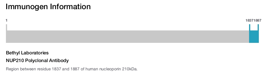 NUP210 Polyclonal Antibody