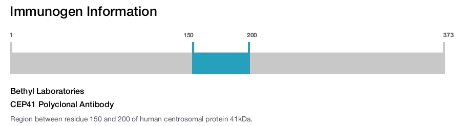 CEP41 Polyclonal Antibody