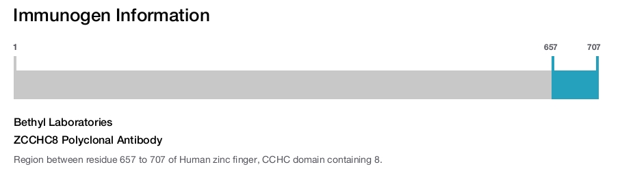 ZCCHC8 Polyclonal Antibody