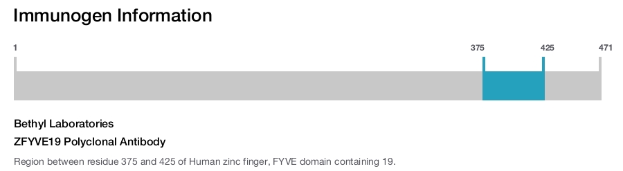ZFYVE19 Polyclonal Antibody