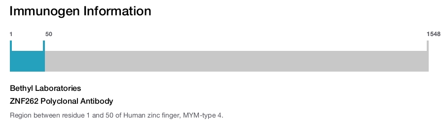ZNF262 Polyclonal Antibody