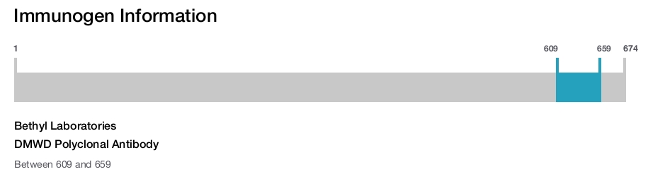 DMWD Polyclonal Antibody