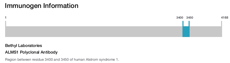 ALMS1 Polyclonal Antibody