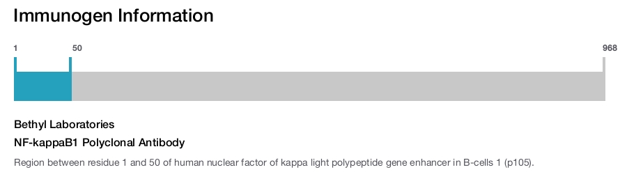 NF-kappaB1 Polyclonal Antibody