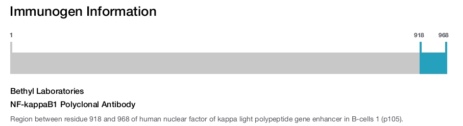 NF-kappaB1 Polyclonal Antibody