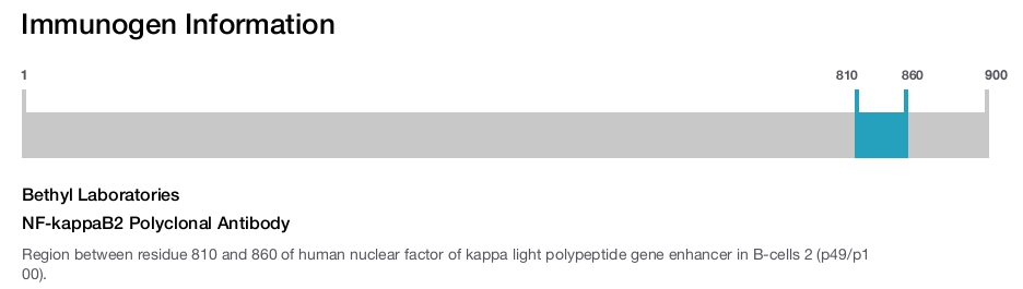 NF-kappaB2 Polyclonal Antibody