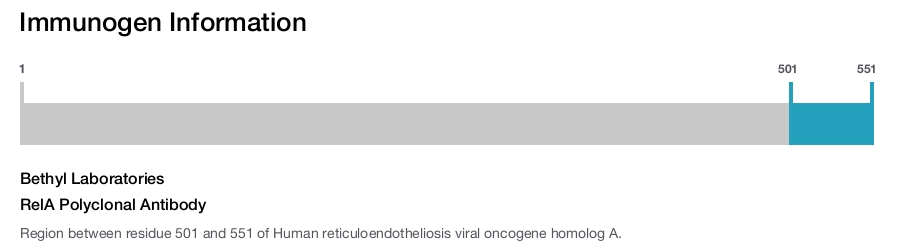 RelA Polyclonal Antibody