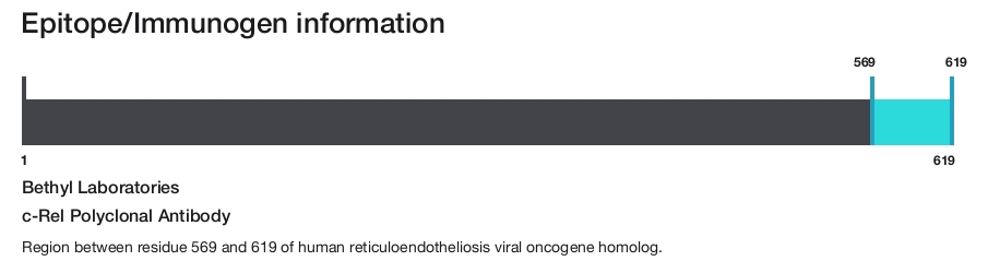 c-Rel Polyclonal Antibody