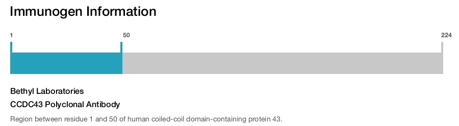 CCDC43 Polyclonal Antibody