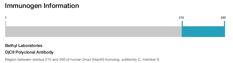 DjC9 Polyclonal Antibody