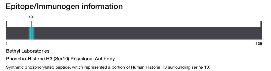 Phospho-Histone H3 (Ser10) Polyclonal Antibody