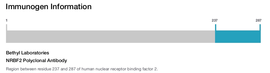 NRBF2 Polyclonal Antibody