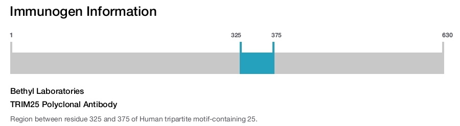 TRIM25 Polyclonal Antibody