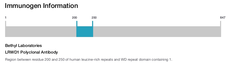 LRWD1 Polyclonal Antibody