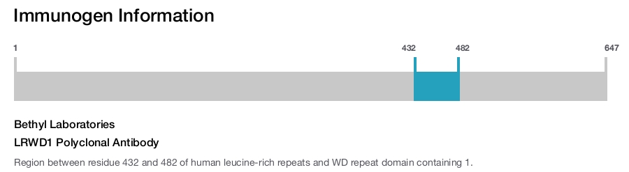 LRWD1 Polyclonal Antibody
