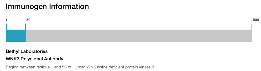 WNK3 Polyclonal Antibody