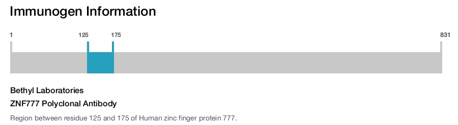 ZNF777 Polyclonal Antibody