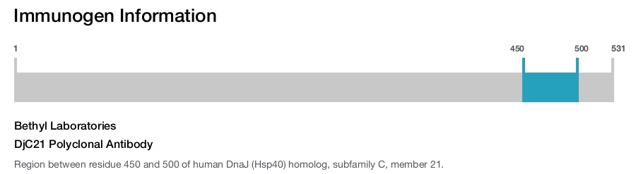 DjC21 Polyclonal Antibody