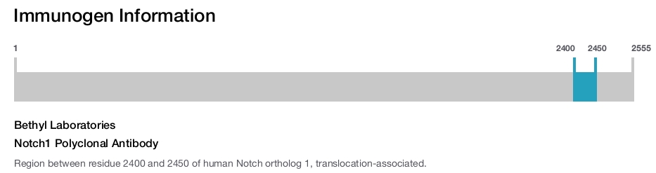 Notch1 Polyclonal Antibody