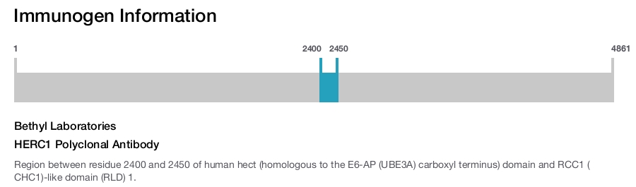 HERC1 Polyclonal Antibody