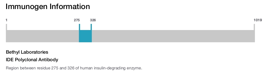 IDE Polyclonal Antibody