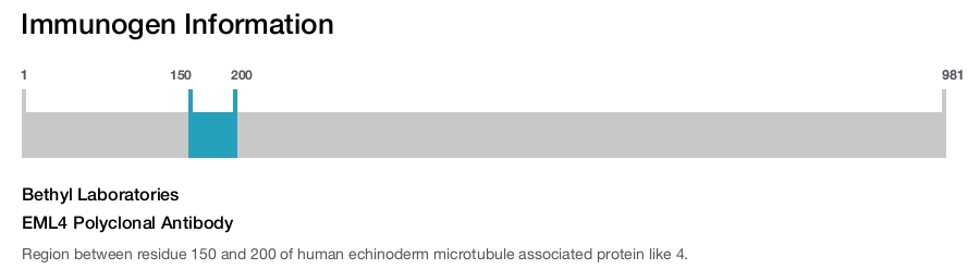EML4 Polyclonal Antibody