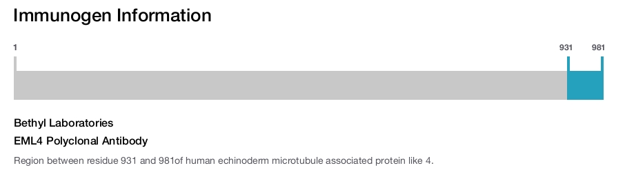 EML4 Polyclonal Antibody