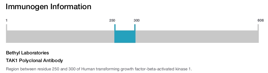 TAK1 Polyclonal Antibody