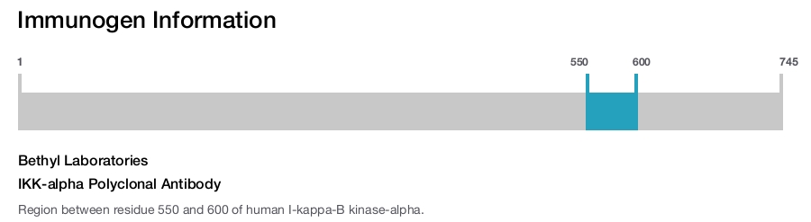 IKK-alpha Polyclonal Antibody