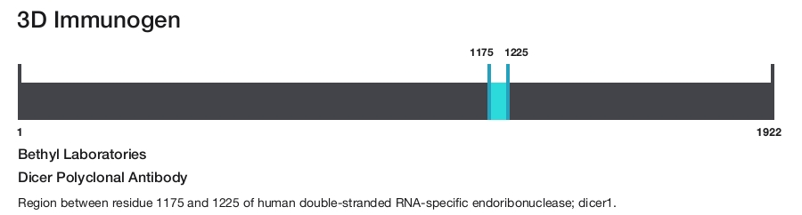 Dicer Polyclonal Antibody