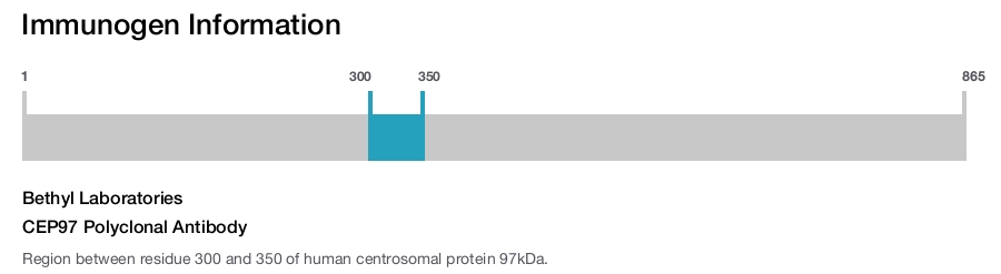CEP97 Polyclonal Antibody
