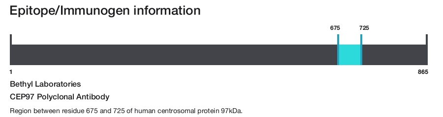 CEP97 Polyclonal Antibody