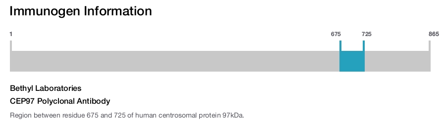 CEP97 Polyclonal Antibody