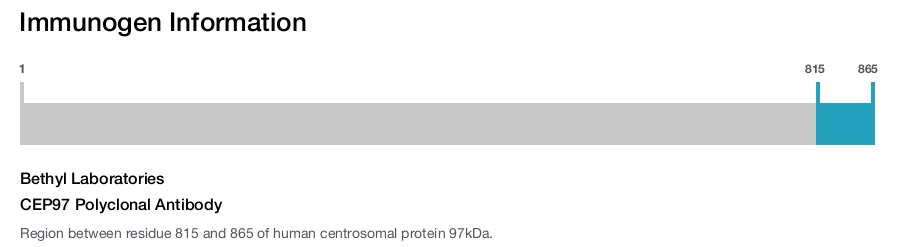 CEP97 Polyclonal Antibody