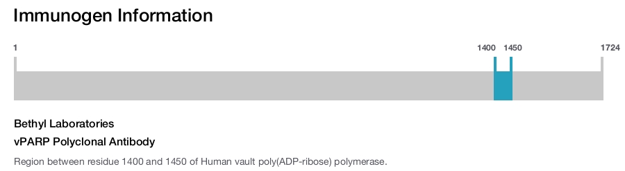 vPARP Polyclonal Antibody