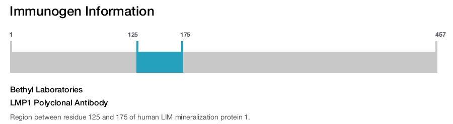 LMP1 Polyclonal Antibody