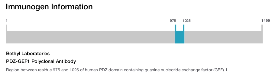 PDZ-GEF1 Polyclonal Antibody