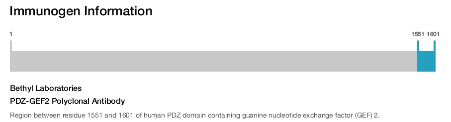 PDZ-GEF2 Polyclonal Antibody