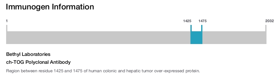 ch-TOG Polyclonal Antibody